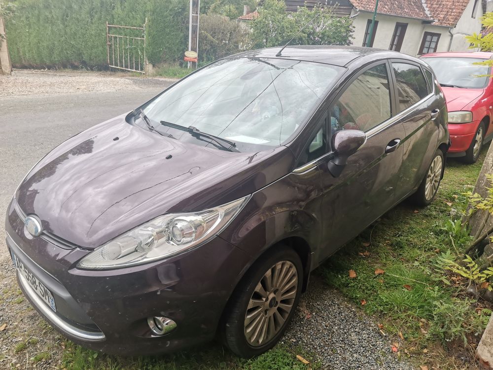 Fiesta 1.6 TDCi 90 Trend 2010 occasion 80120 Argoules