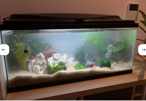 Aquarium 80 litres et tous les accessoires 75 92800 Puteaux