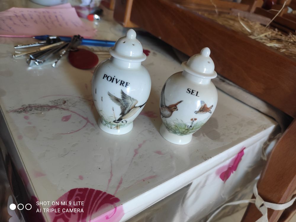 Vaisselles porcelaire de Paris Cuisine