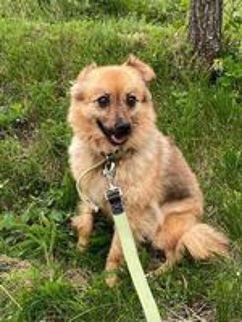   ALICE SE TROUVE DANS UN REFUGE EN UKRAINE 
