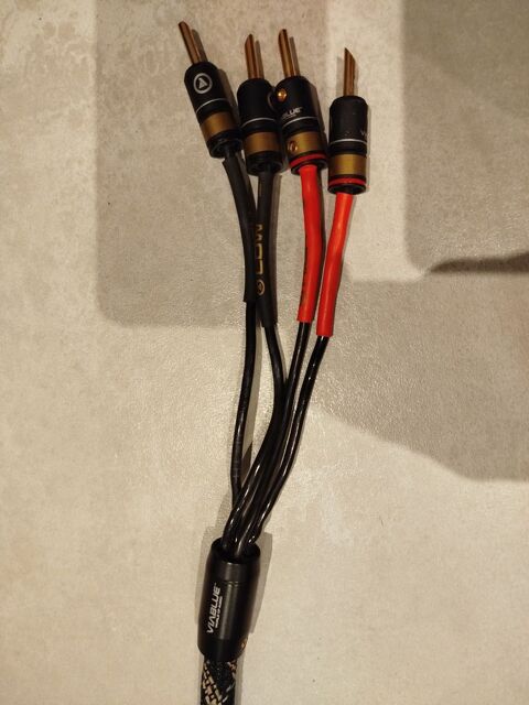 2 cbles d'enceinte bi-cablage 100 Vina (66)