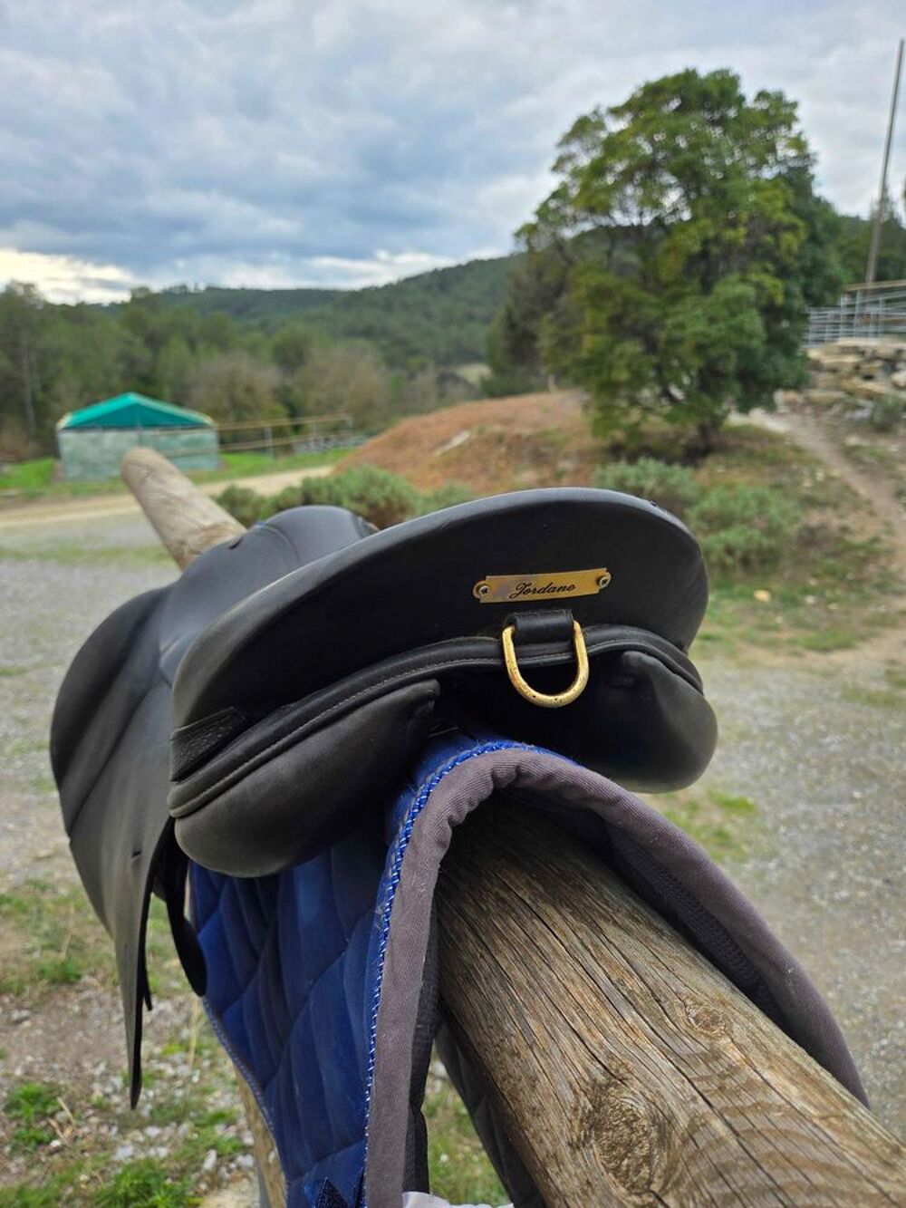 selle+forestier Sports