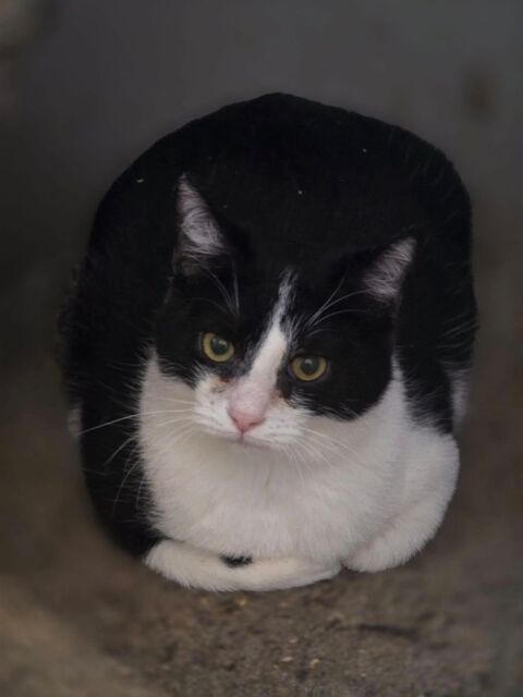 WASABI 210 76000 Rouen