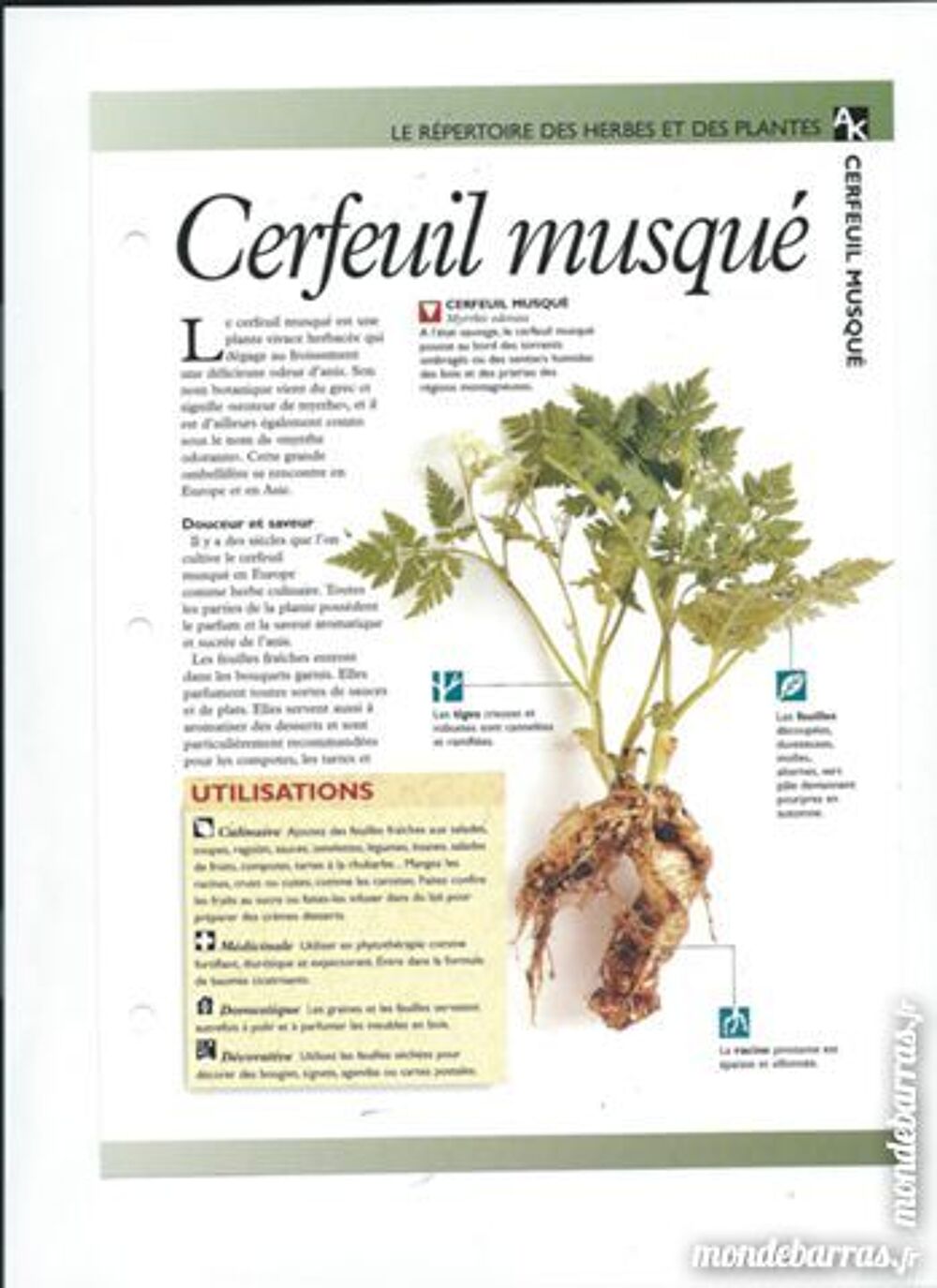 LE MONDE SECRET DES HERBES ET PLANTES Livres et BD