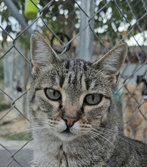 ERAA 230 27620 Gasny