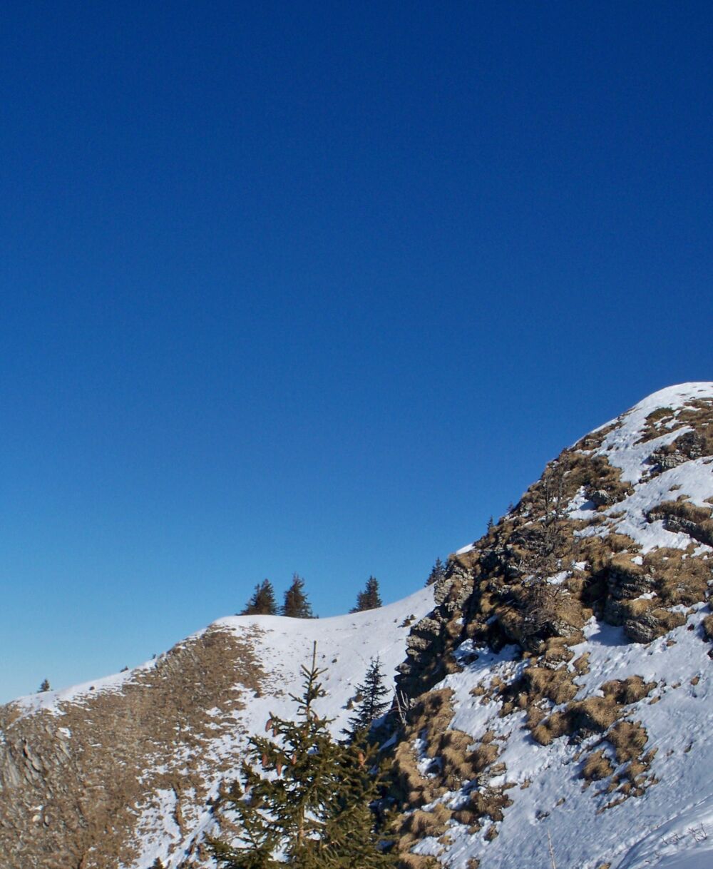   Spacieux T3 dans chalet entre lac et montagne Rhône-Alpes, Thollon-les-Mémises (74500)