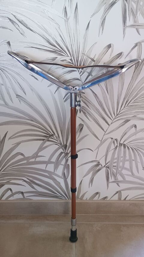 Canne siege 29 Couzeix (87)