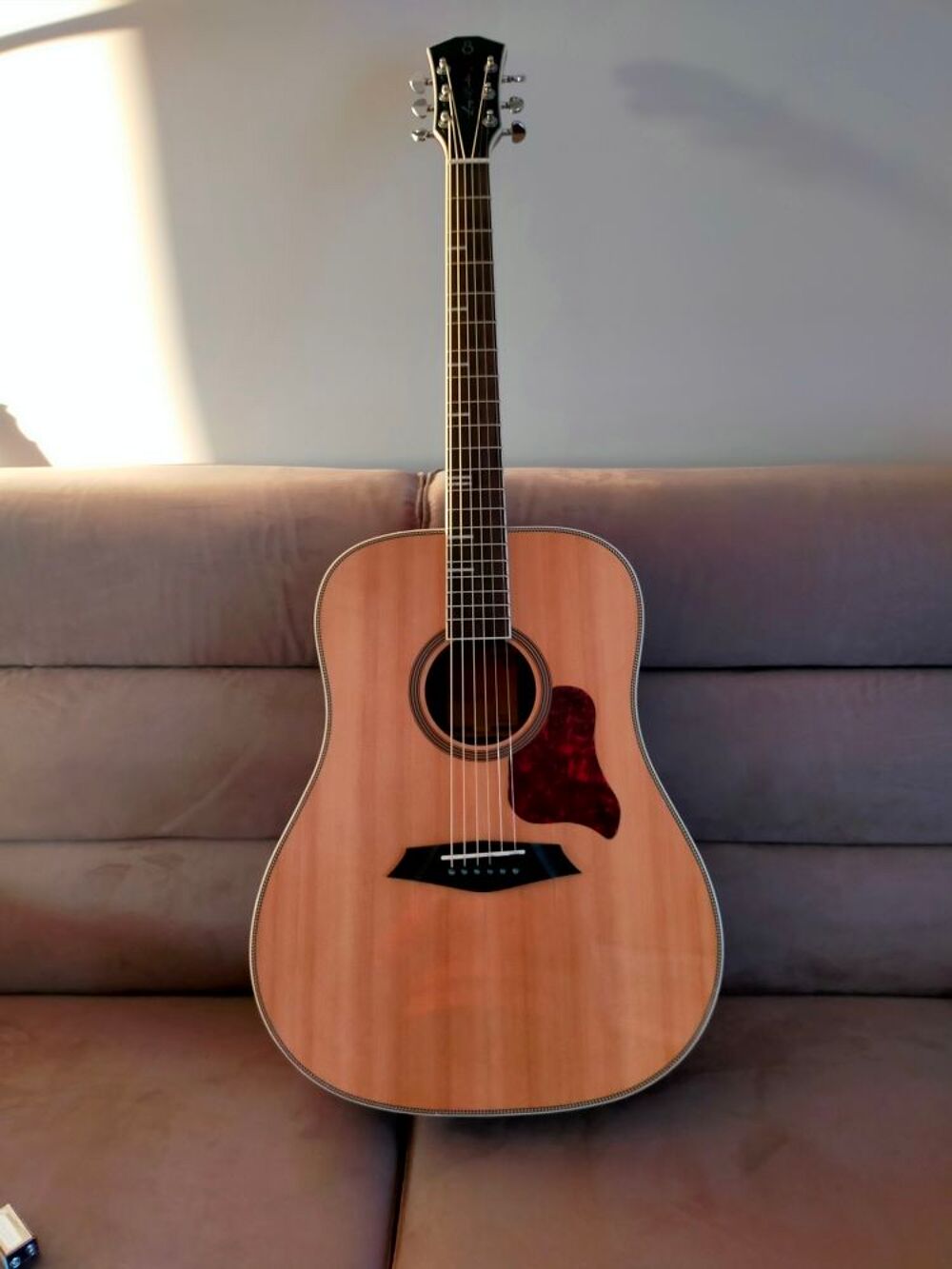 Guitare &eacute;lectro acoustique Larry Carlton Instruments de musique