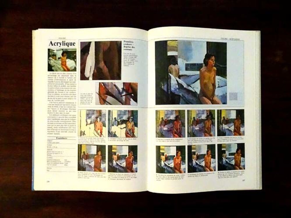 Le guide technique de la peinture, TBE Livres et BD