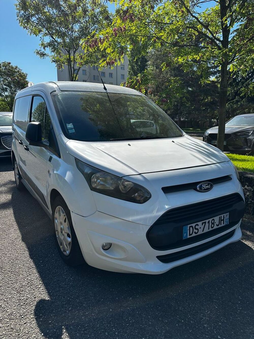 Transit Custom 300 L1H2 2.2 TDCi 100 Trend 2013 occasion 69004 Lyon