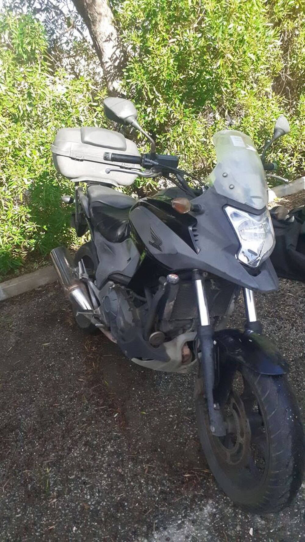 HONDA 2015 occasion 20260 Calvi