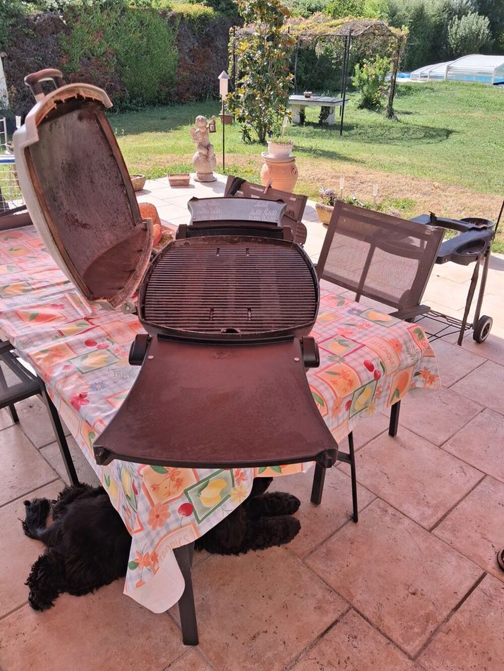 Barbecue &agrave; gaz Jardin