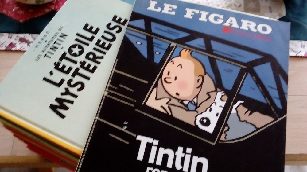 collection tintin Jardin