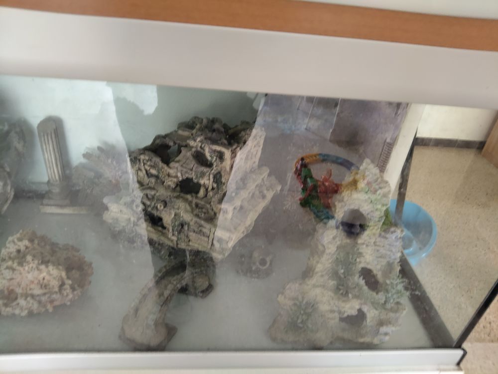 Aquarium avec meuble blanc Meubles