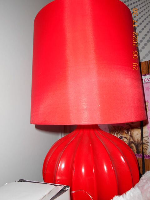 lampe rouge 25 Chevigny-Saint-Sauveur (21)