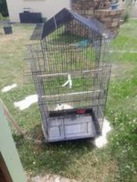   Cages  