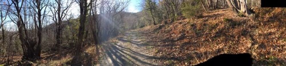 Vente Terrain Nombreuses parcelles forestières à exploiter (21 hectares) Vieussan