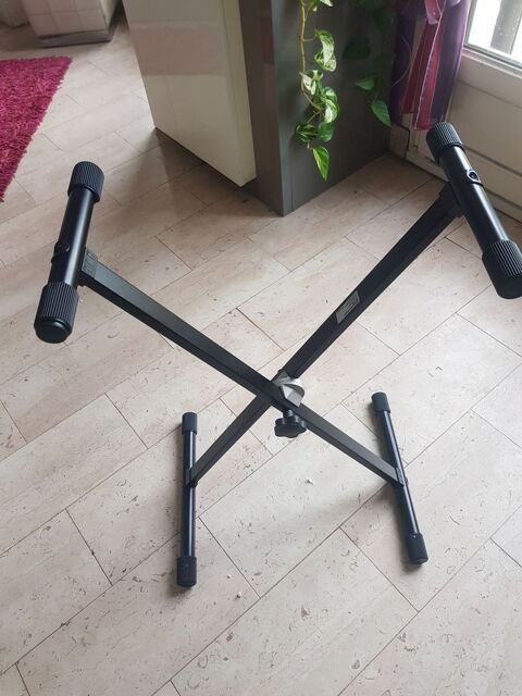 PIED POUR SYNTHE 15 Sarry (51)