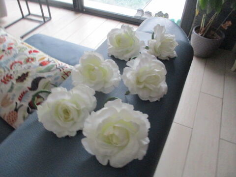 Porte serviette 25 Castres (81)