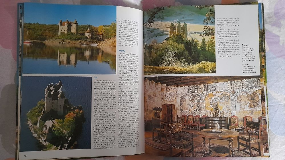 CHATEAUX et CHATEAUX FORTS de FRANCE Livres et BD