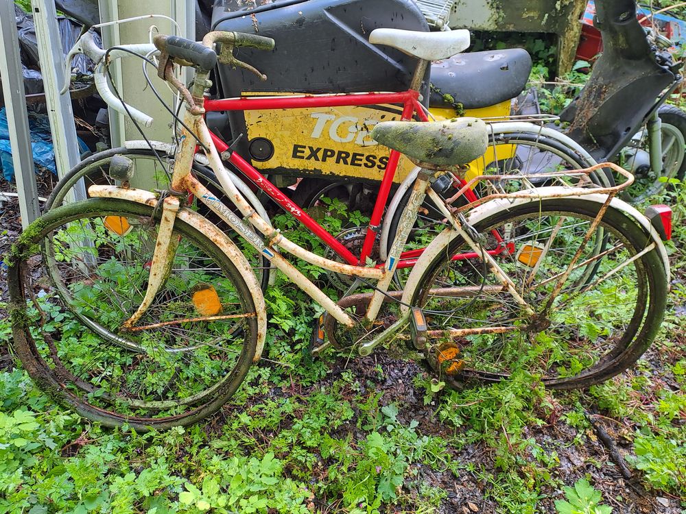 v&eacute;lo Vélos