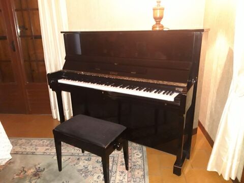 PIANO ROYALE 1000 Landiras (33)