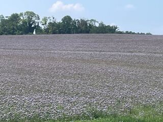  Ferme � vendre 1 pi�ce 120000 m�