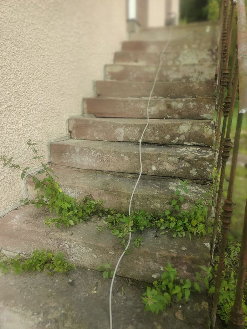 Escalier double Décoration