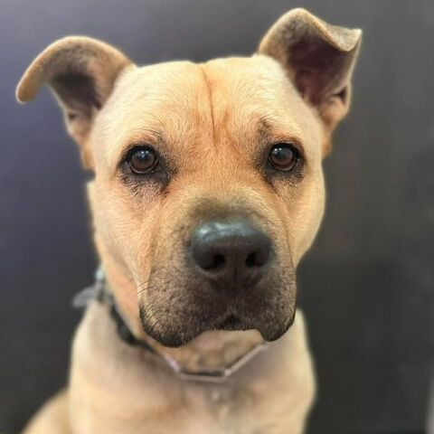 ROX 300 26270 Loriol-sur-dr�me