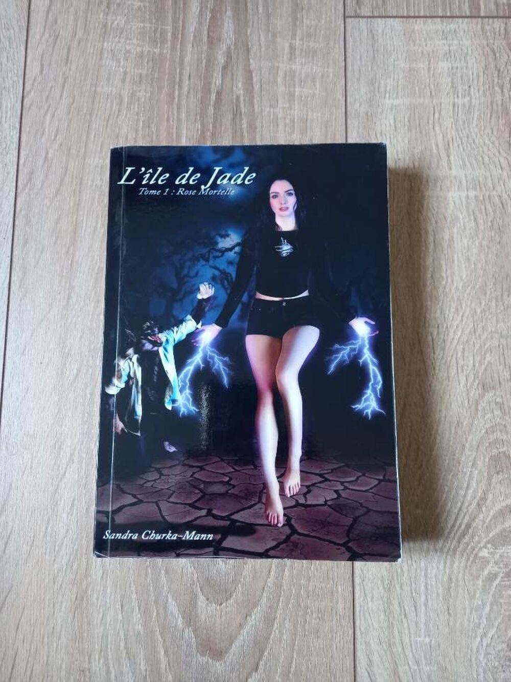L'ile de Jade tome 1 rose mortelle de Sandra Churka-Mann Livres et BD