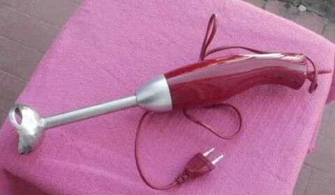 MIXER PLONGEANT, pied inox 10 Montauban (82)