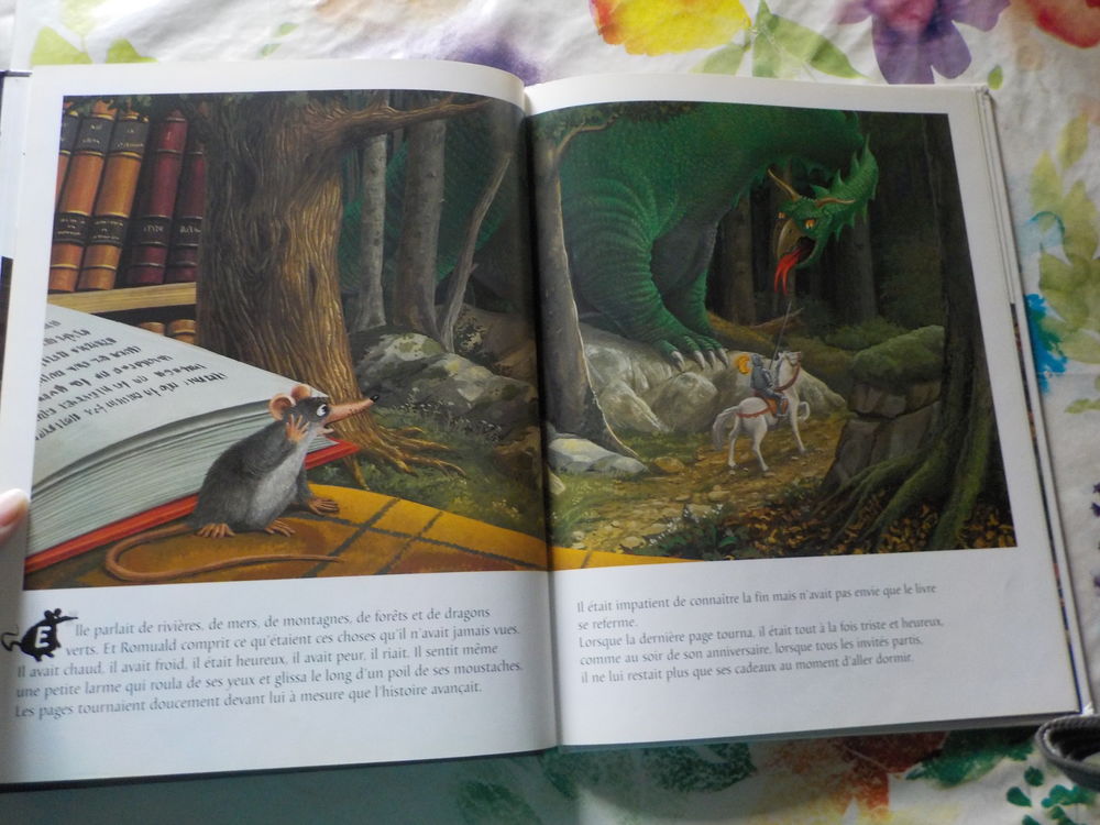 TIBERT ET ROMUALD de Anne JONAS et Fran&ccedil;ois CROZAT Ed. Milan Livres et BD