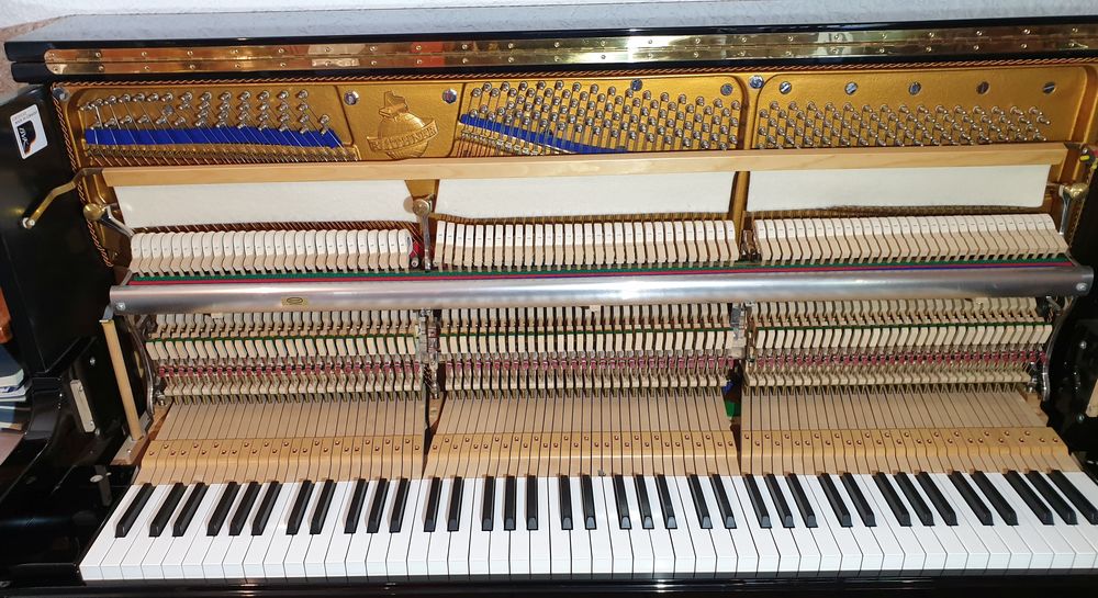 Bl&uuml;thner Mod&egrave;le A-124 Instruments de musique