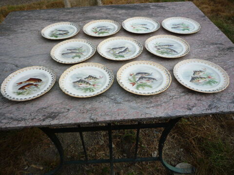 Service � poisson /assiette Limoges (G) 35 Castres (81)