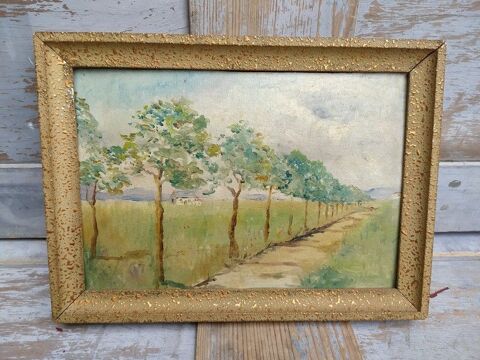 Tableau Paysage de Campagne Chemin Bordé d'Arbres 70 Loches (37)