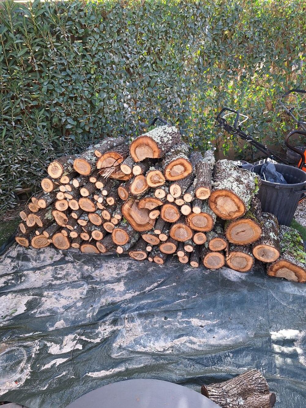 Bois de chauffage - Ch&ecirc;ne - 1 st&egrave;re - Livr&eacute; chez vous Jardin
