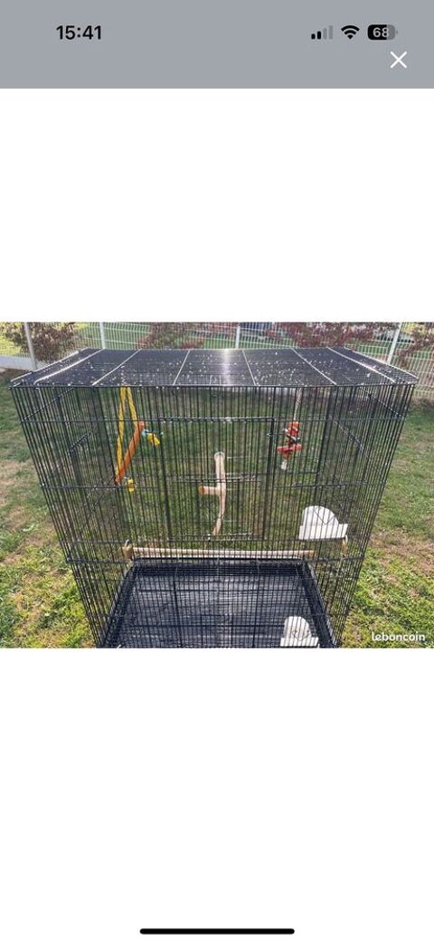 cage oiseaux 40 Pont-Saint-Esprit (30)