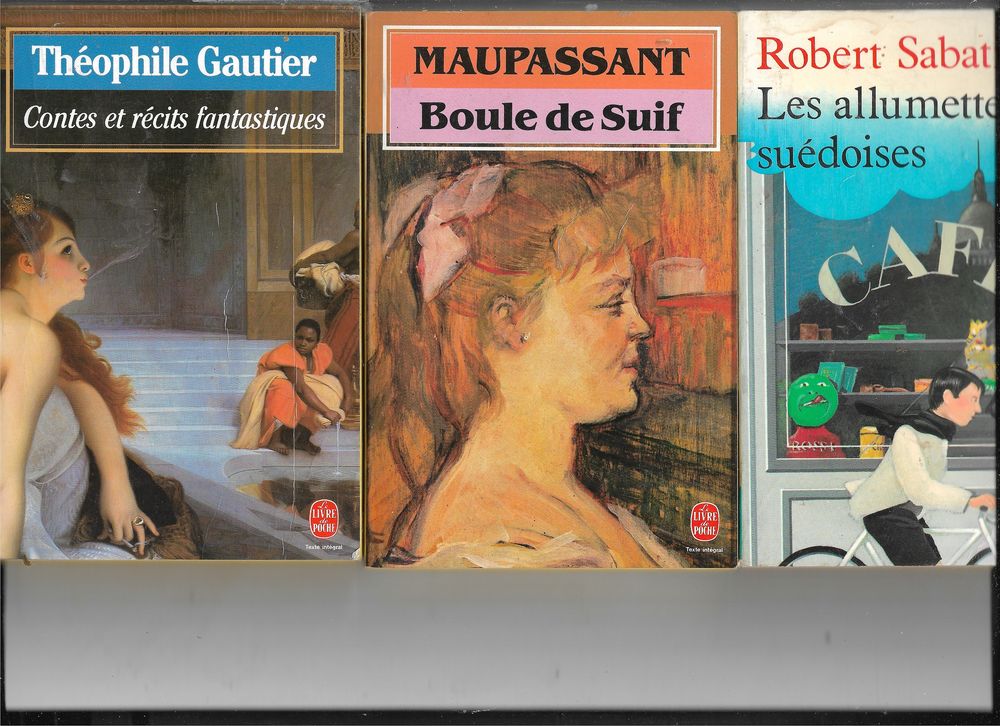 LOT DE 11 LIVRES DE LITTERATURE CLASSIQUE Livres et BD