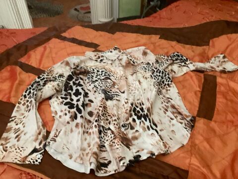 Superbe tunique 0 Six-Fours-les-Plages (83)