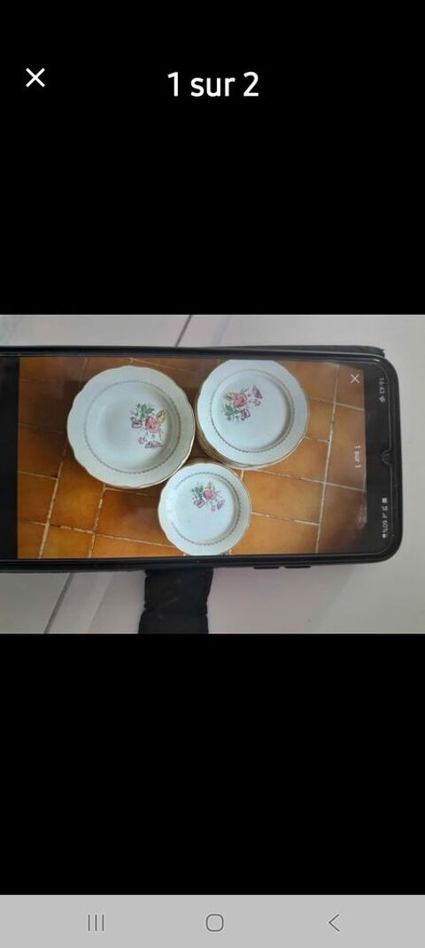 Service table 36 assiettes  sarguemine 55 Tours (37)