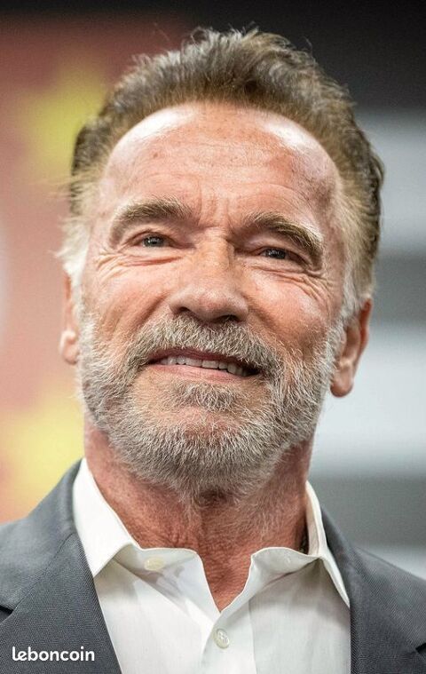films Arnold Schwarzenegger 6 Erbray (44)