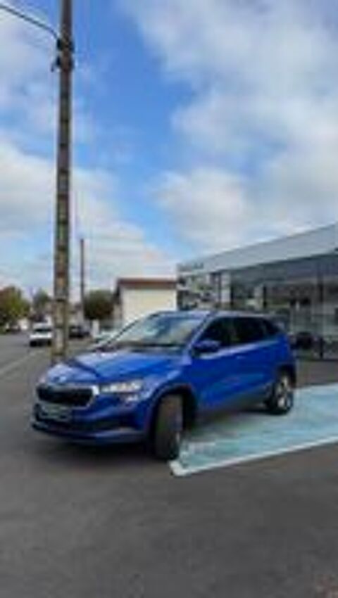 Karoq 2.0 TDI 116 ch SCR Business 2022 occasion 40100 Dax