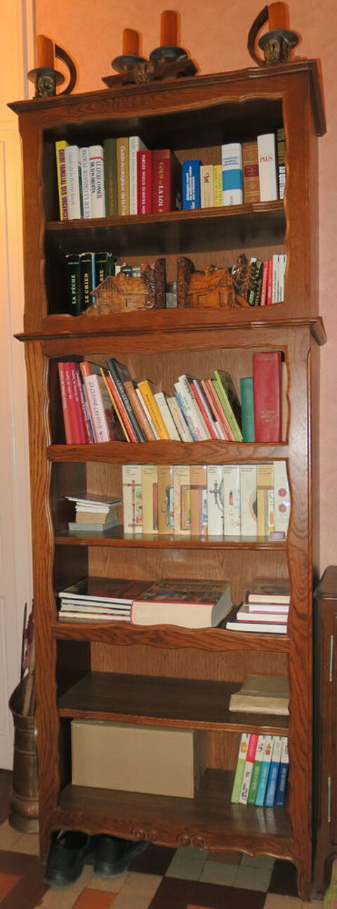Meuble bibliotheque 50 Vizille (38)