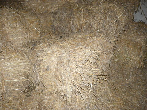 Botte de paille 2 57830 Foulcrey