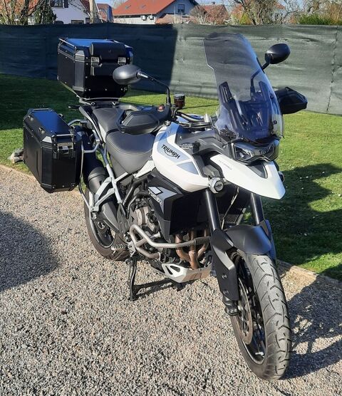 Moto TRIUMPH 2020 occasion Raedersheim 68190