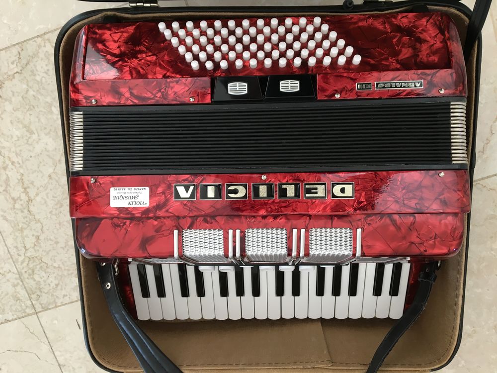 ACCORDEON DELICIA ARNALDO XIII Instruments de musique