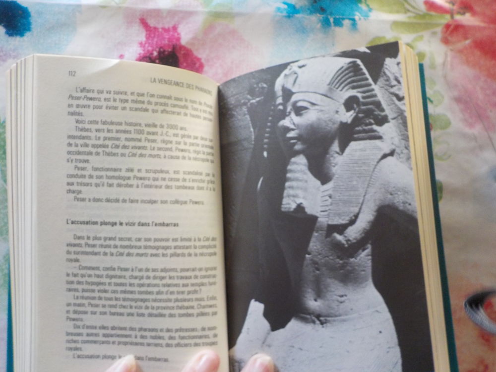 LA VENGEANCE DES PHARAONS par Yves NAUD Ed. Famot Livres et BD