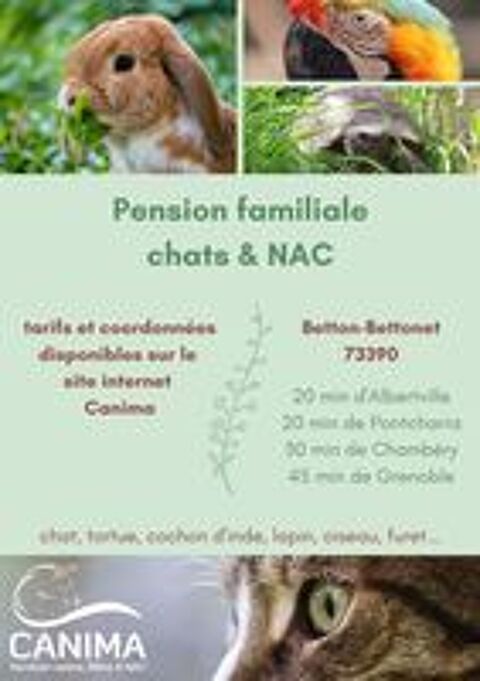   Pension chat lapin cochon d'inde tortue oiseau furet 