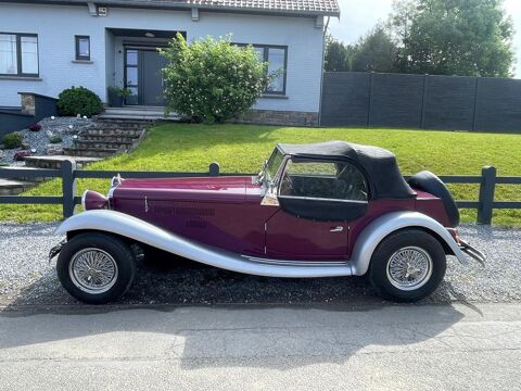 Annonce voiture Autres Autres 12900 €