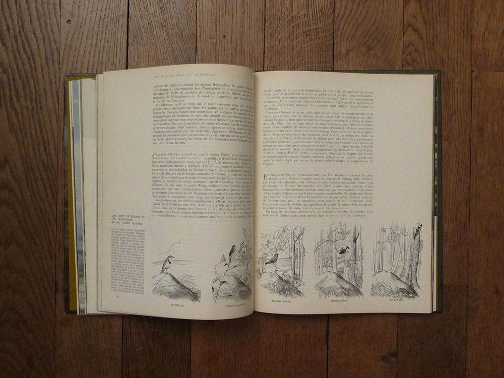 Les Oiseaux- Le Monde Vivant- Roger Tory Peterson- Life Livres et BD